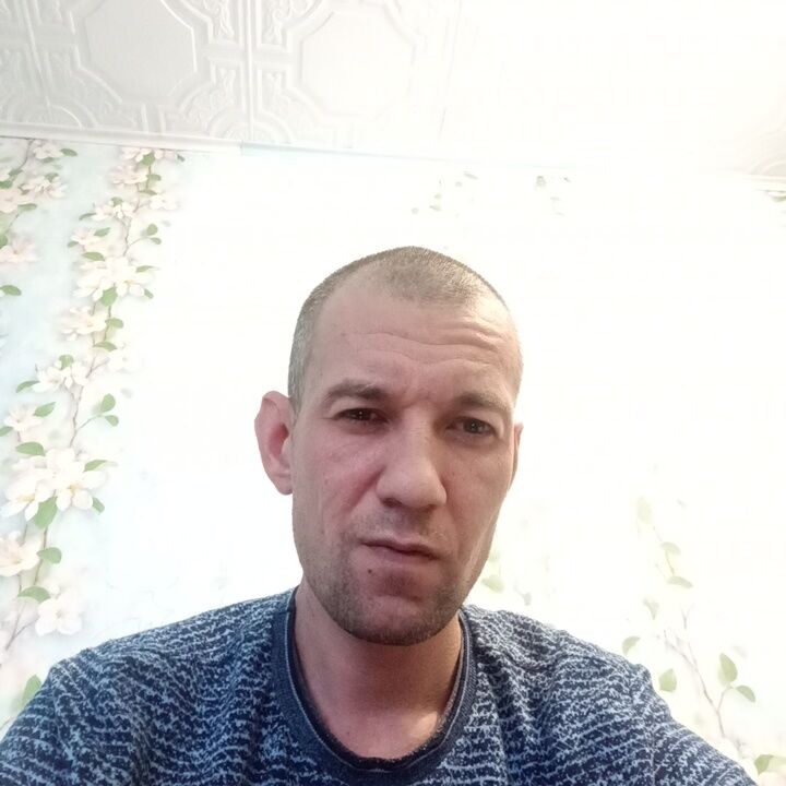 ���� 49906052 ������� �������, 38 ���, ���� ���������� � ���������