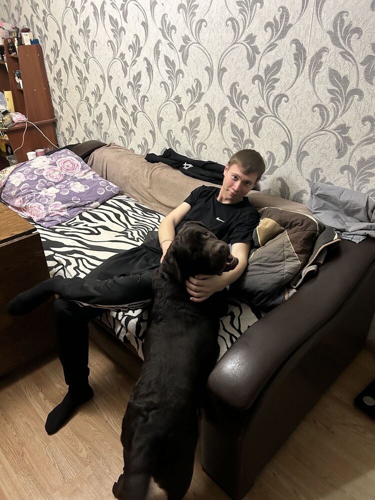 ���� 55071292 ����� ������, 22 ����, ���� ���������� � ������