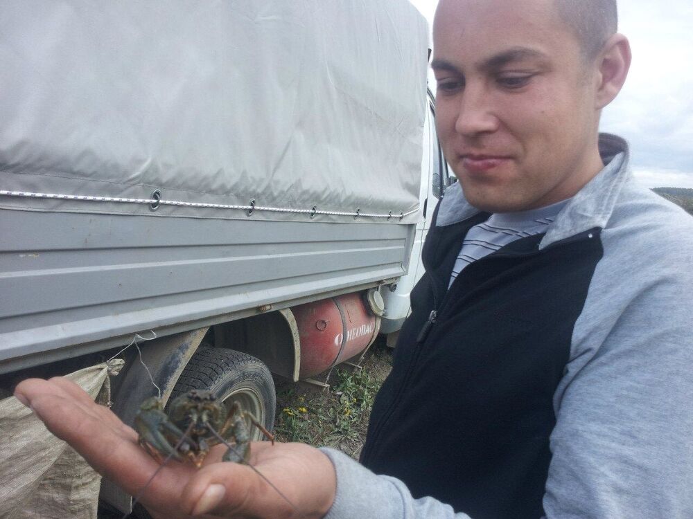 ���� 23209032 ������� �����, 39 ���, ���� ���������� � �������������