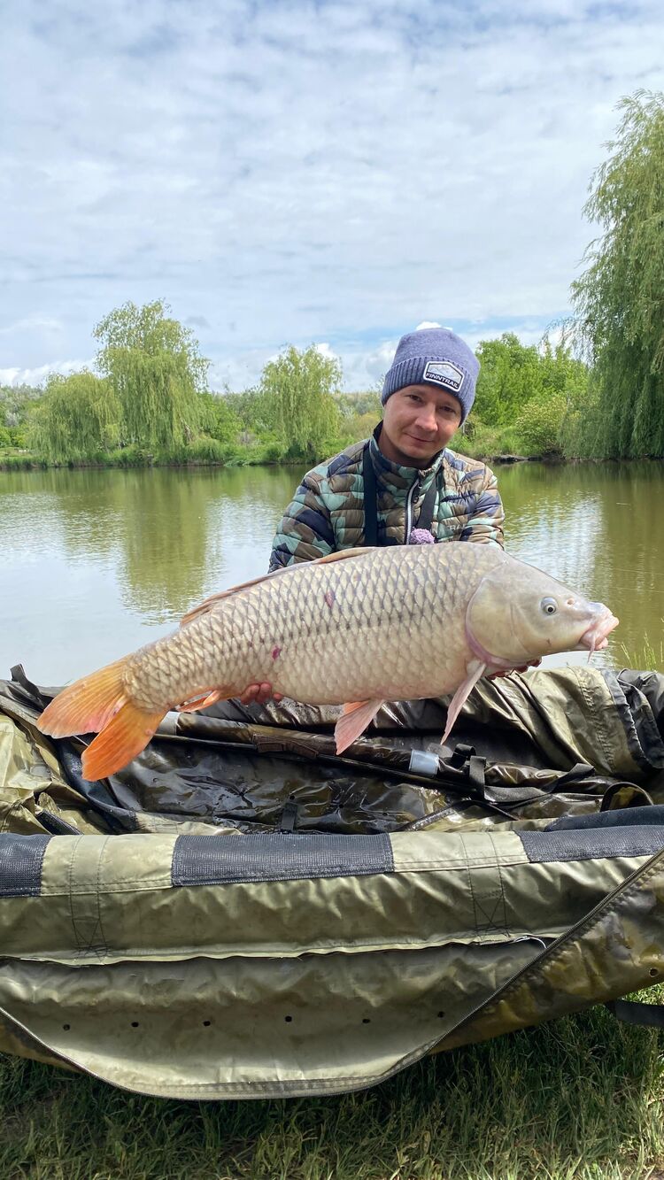 ���� 43278952 ������� ����, 38 ���, ���� ���������� � ����������