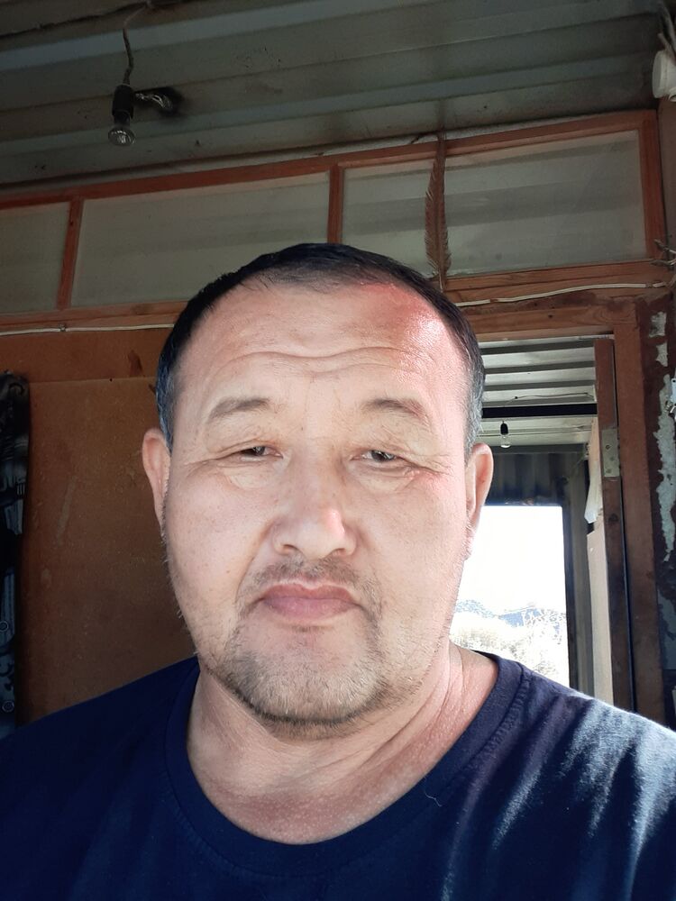  48236812  , 49 ,    