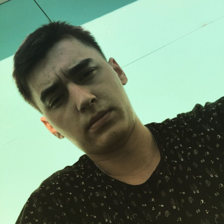 ���� 17568072 ������� �������, 29 ���, ���� ���������� � ������������