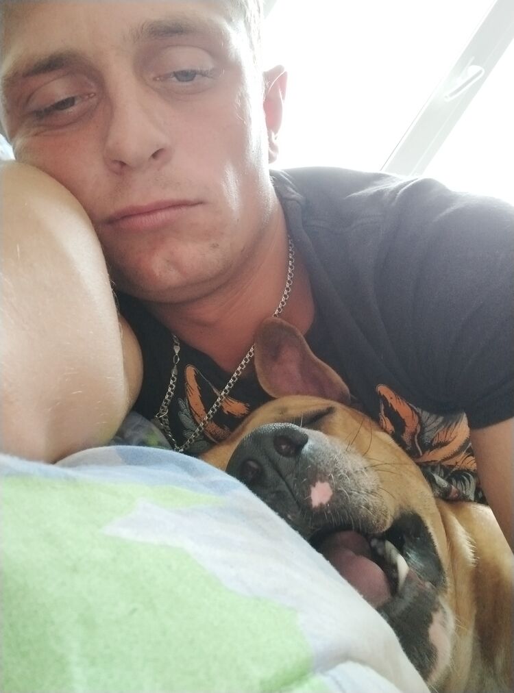 ���������� �����������, ���� ������� ����, 26 ���, ������������ ��� ������, ����� � ���������