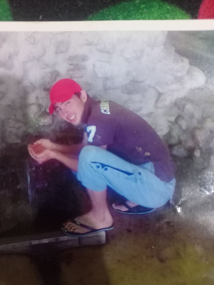 ���� 51321622 ������� ��� �������, 34 ����, ���� ���������� � �����-����������