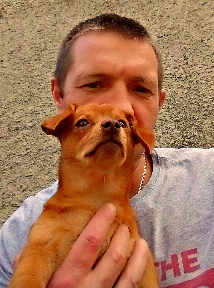 ���������� ������������, ���� ������� �������, 45 ���, ������������ ��� ������, ����� � ���������