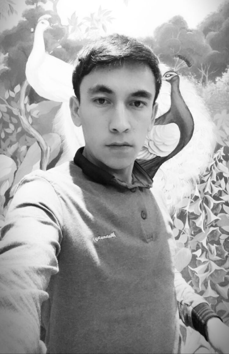 ���� 44023462 ������� ������, 31 ���, ���� ���������� � ������