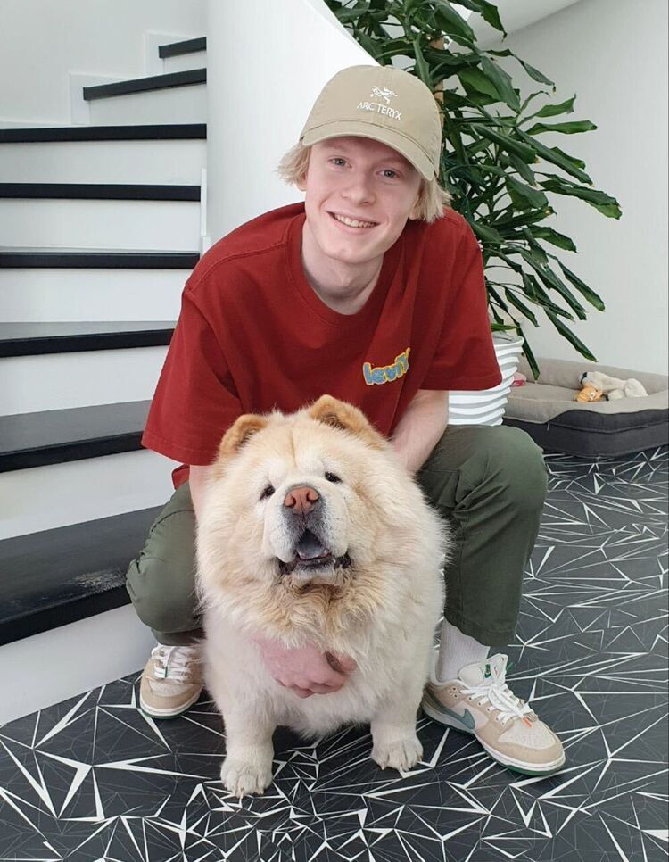 ���� 41392762 ����� ������, 22 ����, ���� ���������� � �����-����������