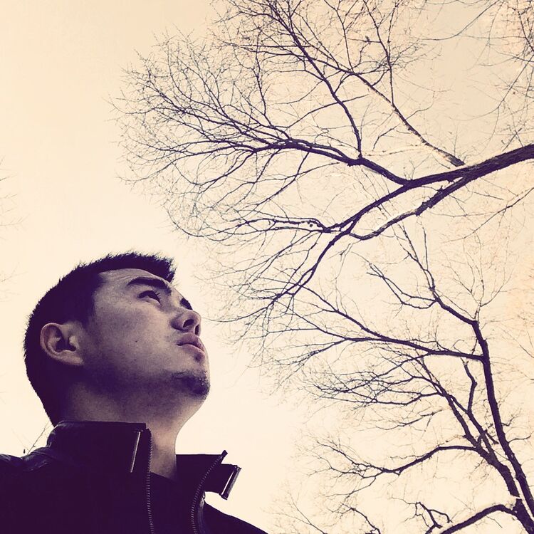 ���������� ������, ���� ������� ��������, 31 ���, ������������ ��� ������