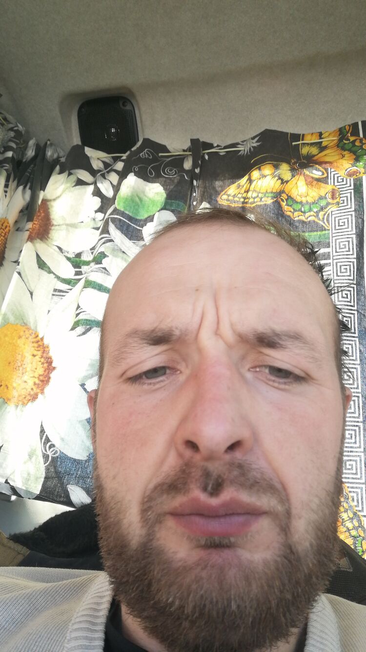  41340662  , 31 ,    