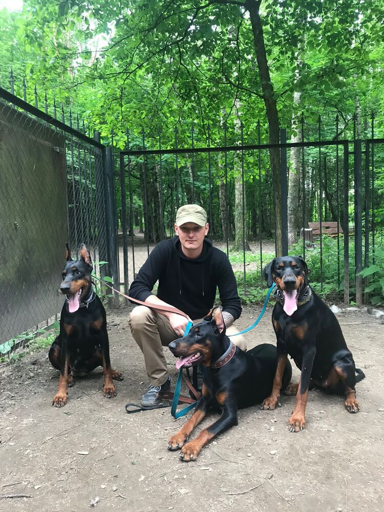 ���������� ������, ���� ������� ������, 35 ���, ������������ 