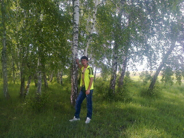  ,   , 33 ,     , c , 