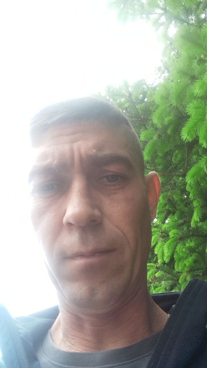  43635972  , 39 ,    