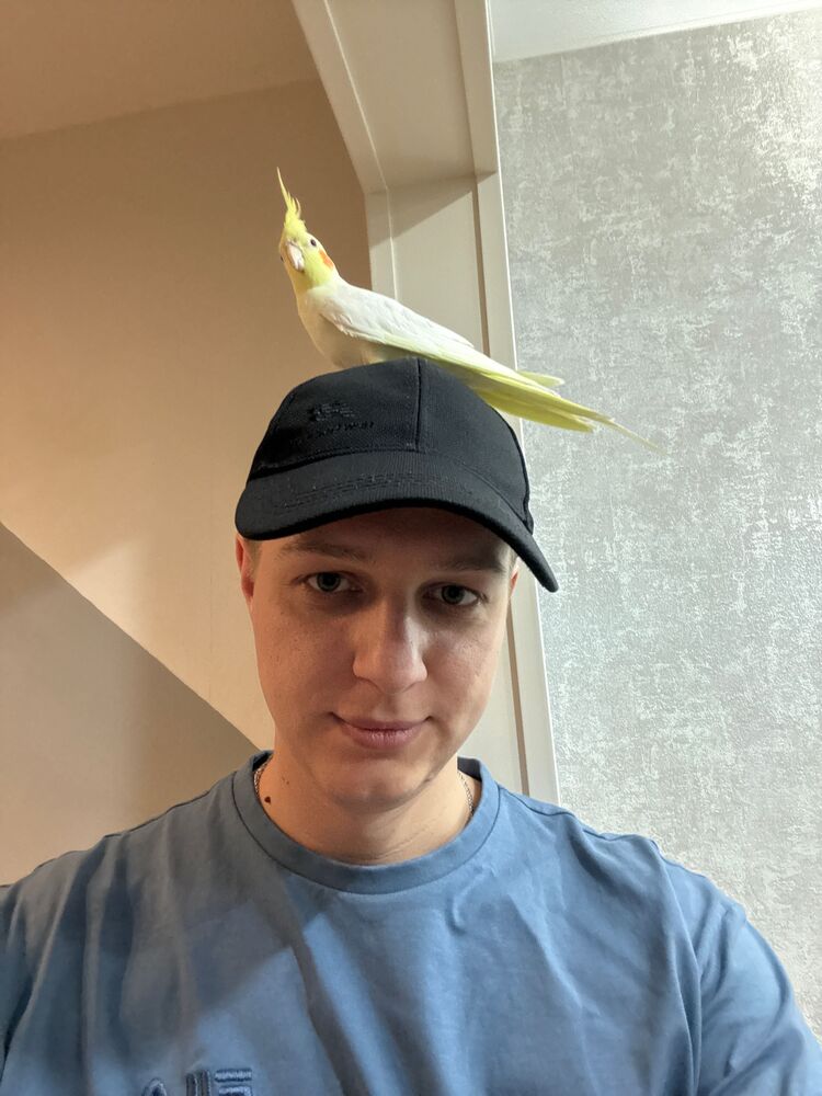 ���������� ������, ���� ������� ������, 26 ���, ������������ ��� ������, ����� � ���������, c�������� ���������