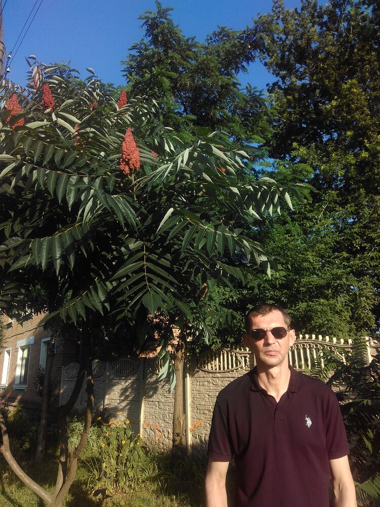 ���� 23297972 ������� �������, 49 ���, ���� ���������� � ��������