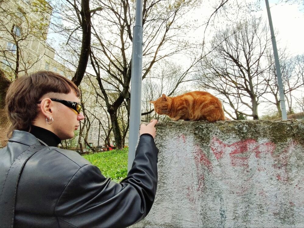 ���������� �����������, ���� ����� ����, 25 ���, ������������ ��� ������, ����� � ���������