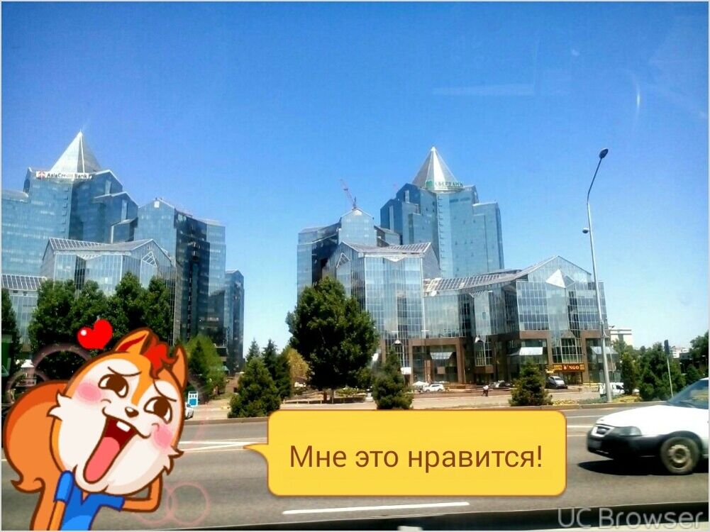  15121482  , 46 ,    