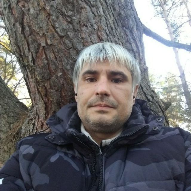  42020742  , 41 ,    