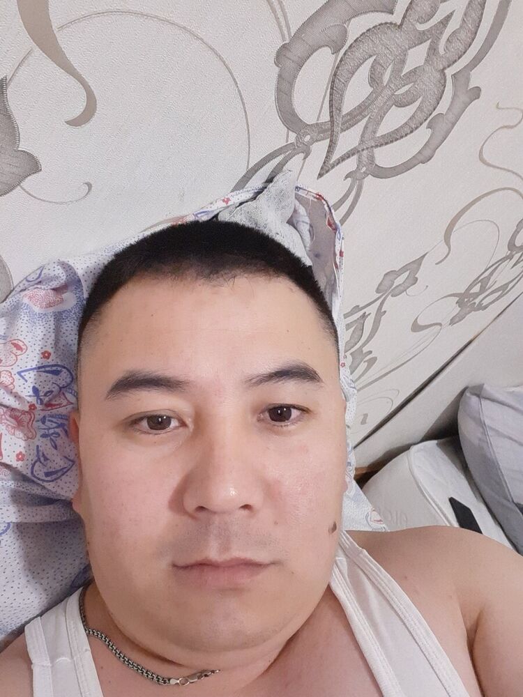  20432162  , 40 ,    