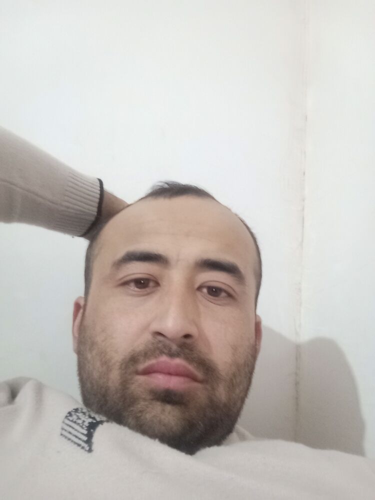  48635472  , 31 ,    