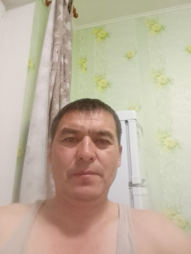  53662412  , 51 ,    