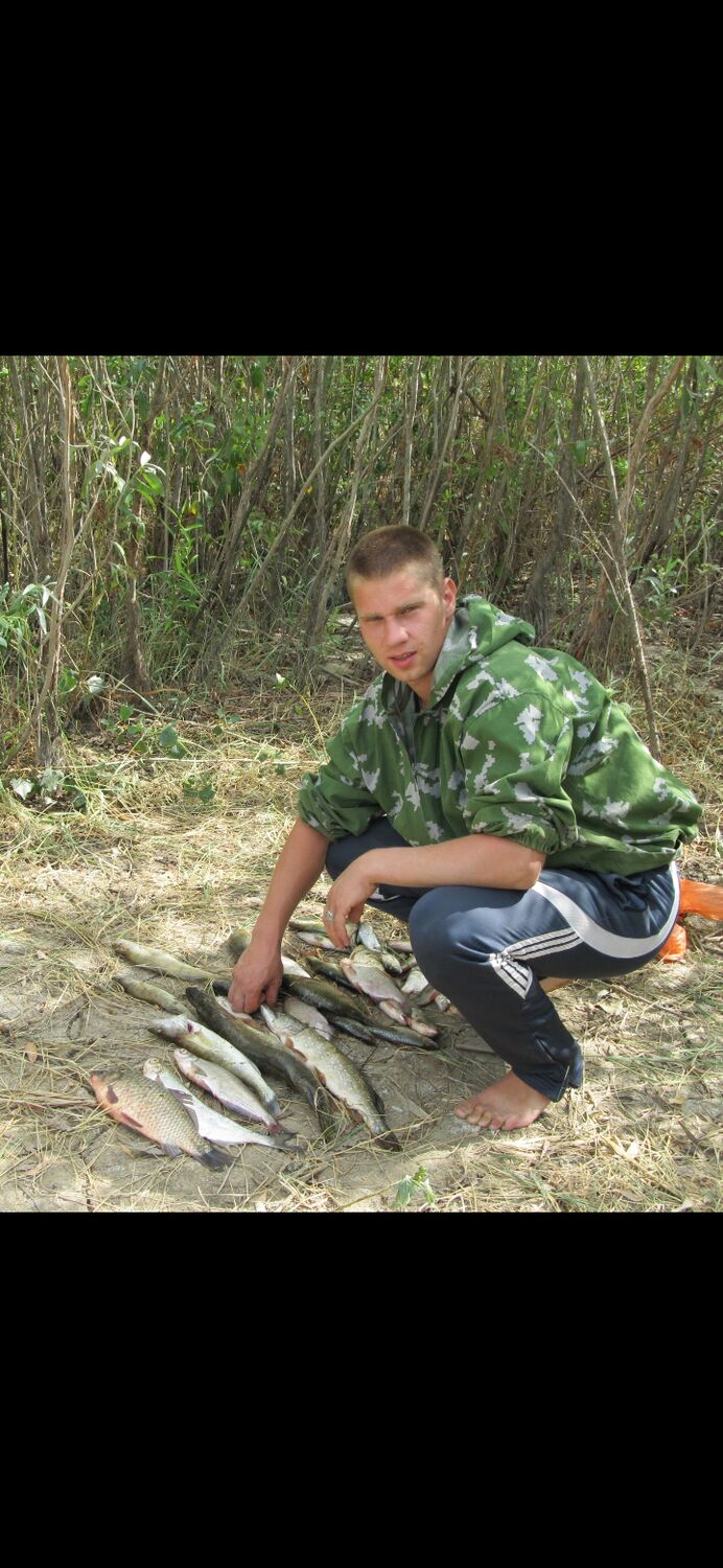 ���� 44316492 ������� �������, 38 ���, ���� ���������� � ������