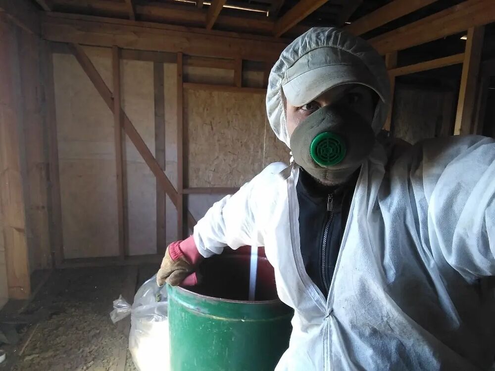 ���� 26682782 ������� �������, 33 ����, ���� ���������� � �������