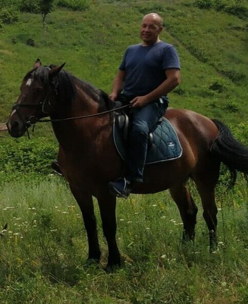 ���������� ������-��-����, ���� ������� ����, 56 ���, ������������ ��� ������, ����� � ���������, c�������� ���������, ���������