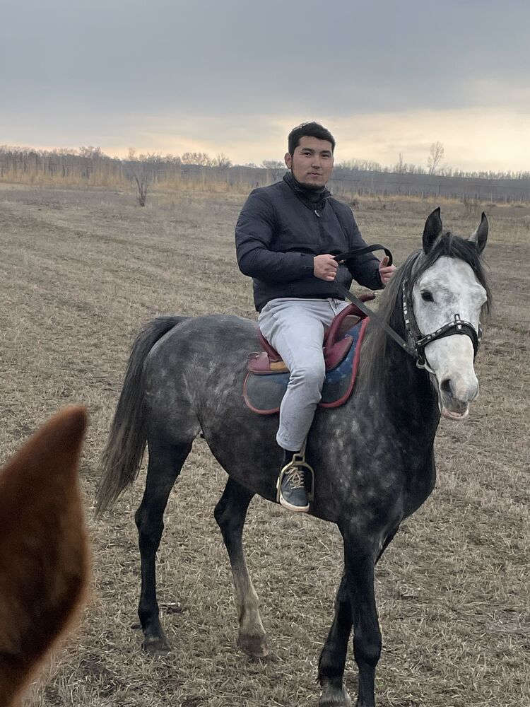 ���� 25321672 ����� ������, 24 ����, ���� ���������� � ������