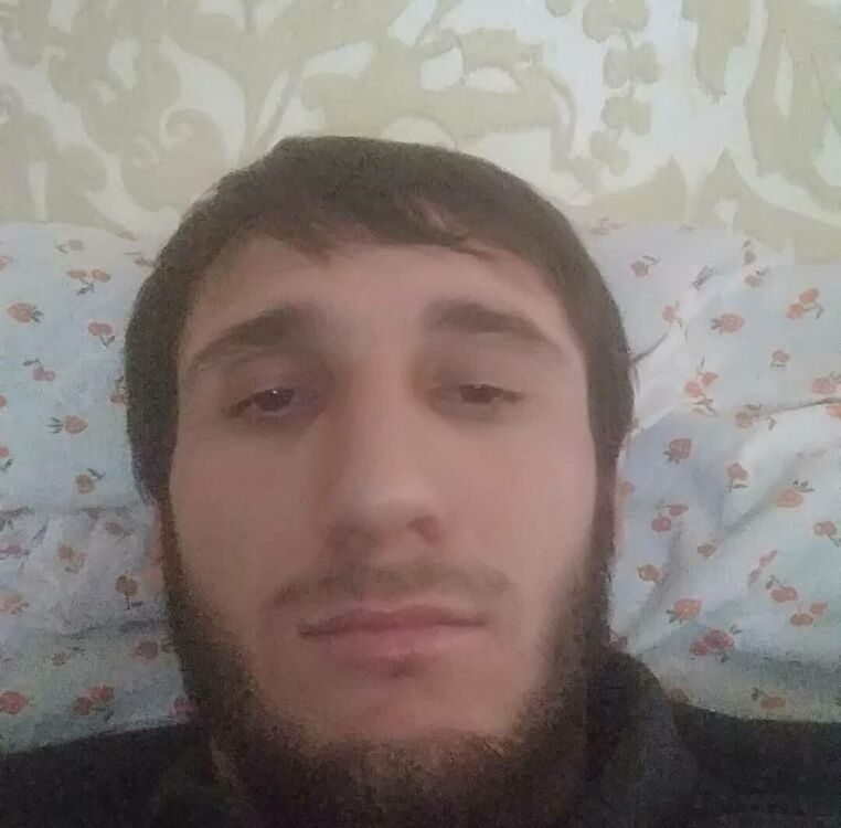  22203952  , 33 ,    
