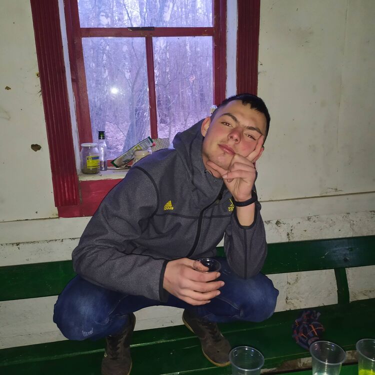  33088592  , 24 ,    