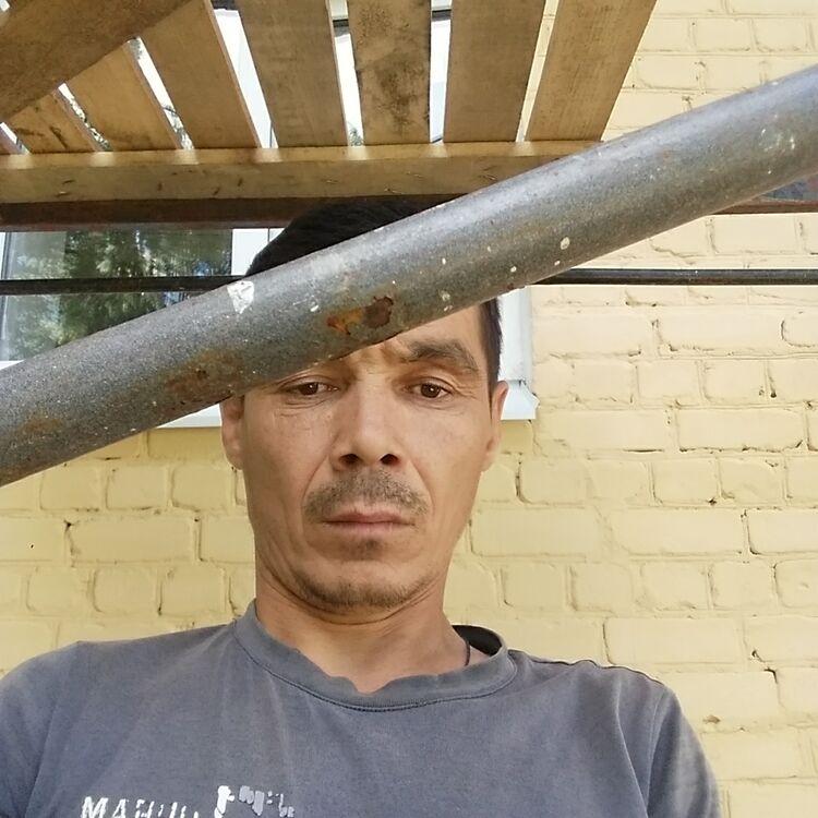  -,   , 44 ,   