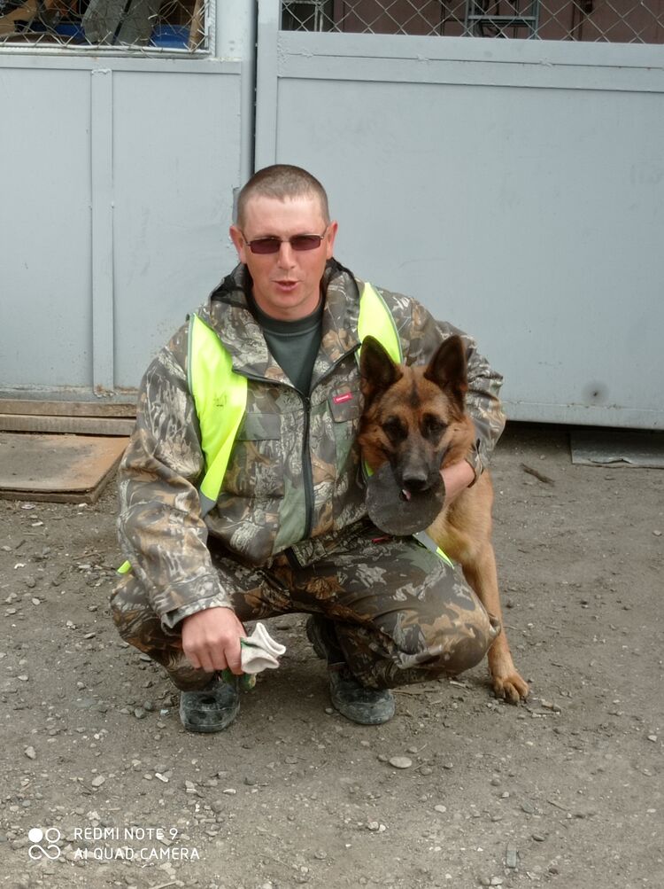 ���������� ����������, ���� ������� ������, 45 ���, ������������ ��� c�������� ���������