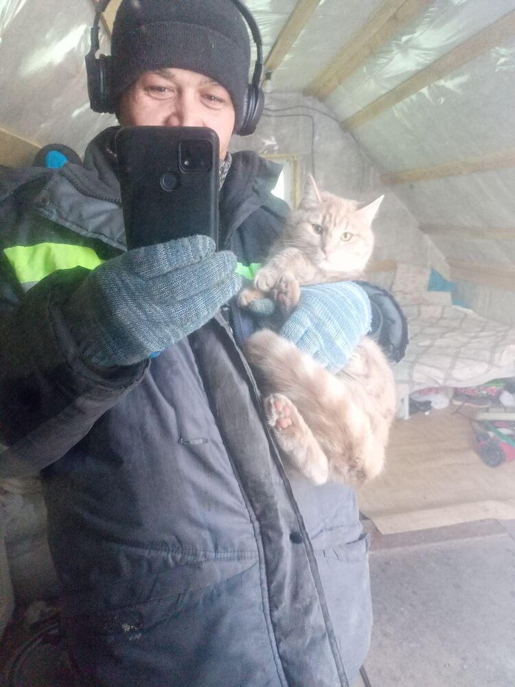 ���� 24654232 ������� �������, 39 ���, ���� ���������� � �����-����������