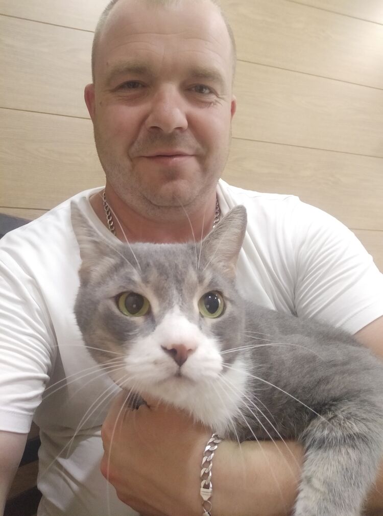 ���� 39436882 ������� ����, 42 ����, ���� ���������� � ������