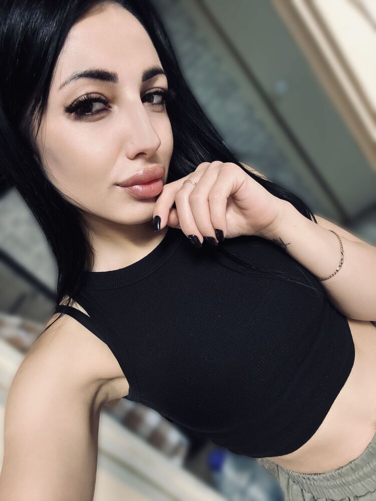  53707682  , 24 ,    