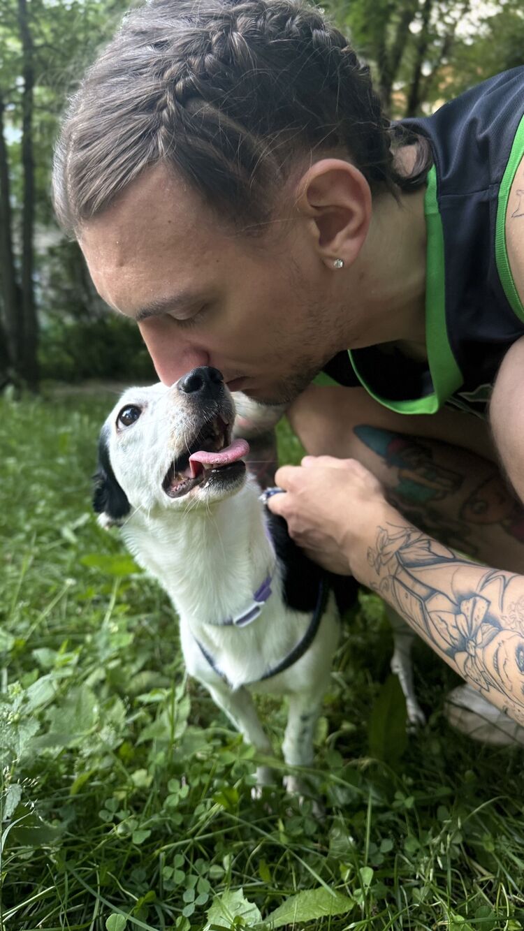 ���������� ������, ���� ������� ���������, 27 ���, ������������ ��� ������, ����� � ���������