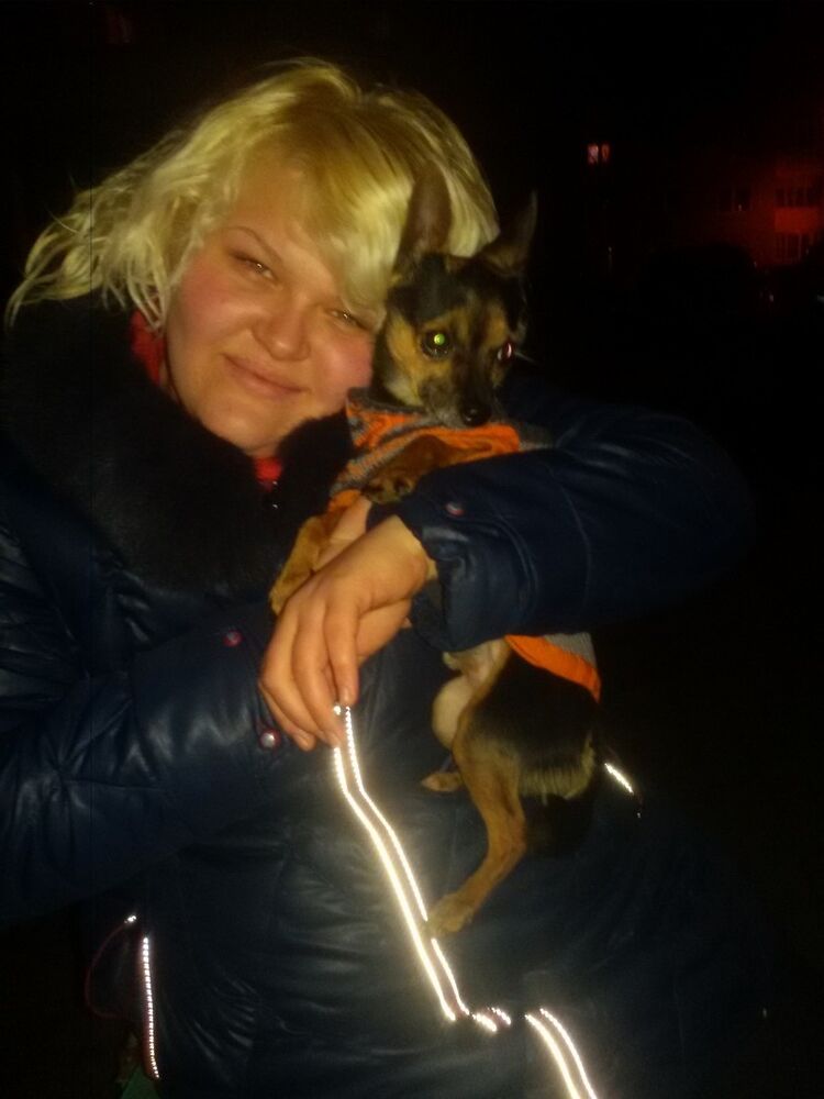 ���� 5650292 ������� ������, 31 ���, ���� ���������� � ������