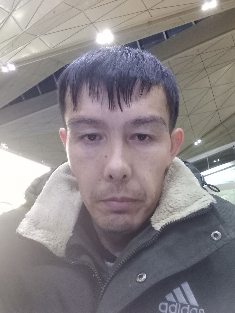 48358622  , 44 ,    -