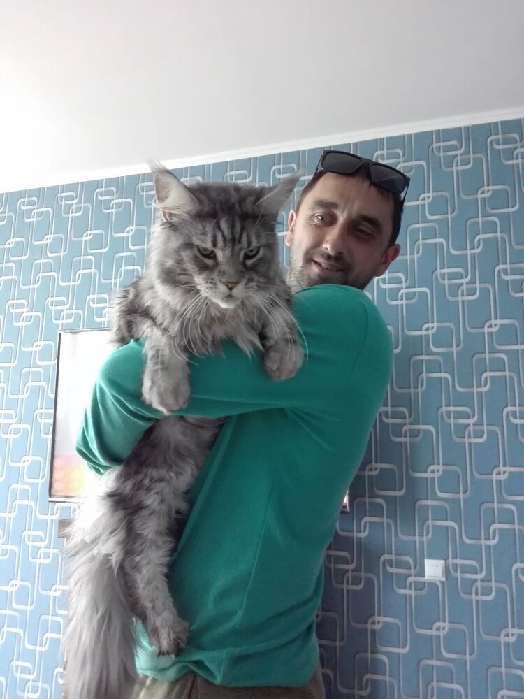  ,   , 38 ,   