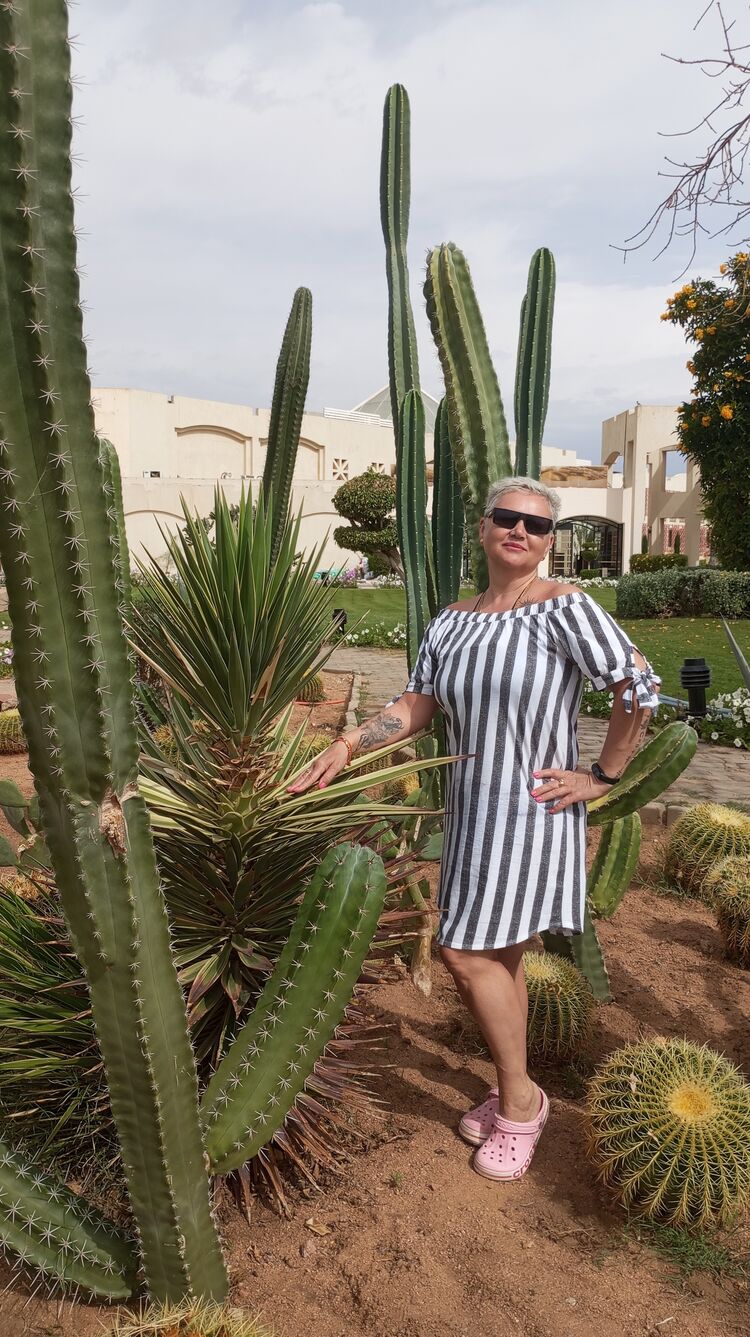 ���������� ������, ���� ������� �����, 55 ���, ������������ ��� ������, ����� � ���������, c�������� ���������