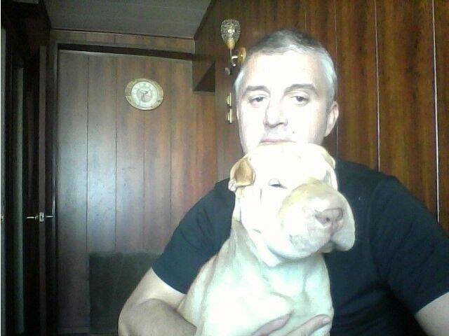  ,   , 53 ,   ,   , c 