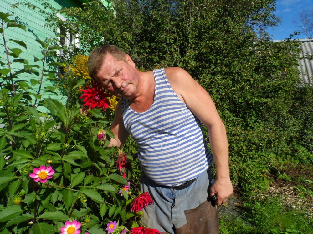  ,   , 61 ,   