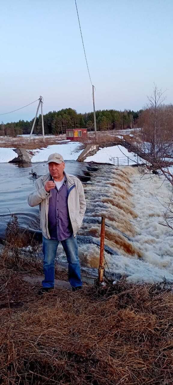  29133162  , 56 ,    -