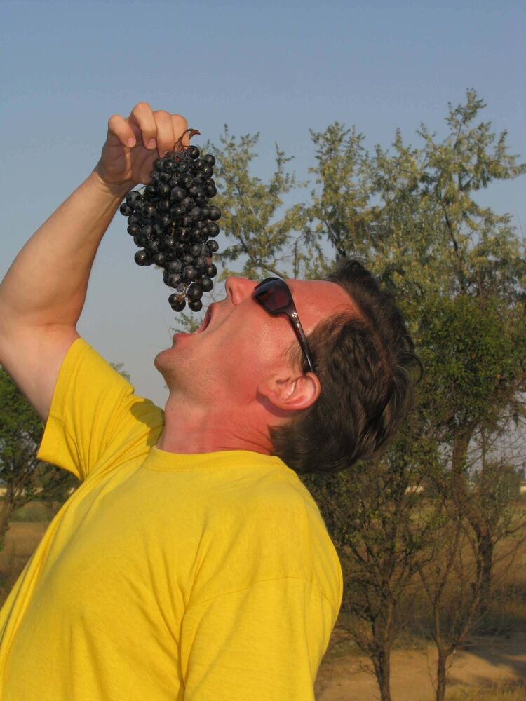  ,   Vlad, 53 ,   ,   , c 