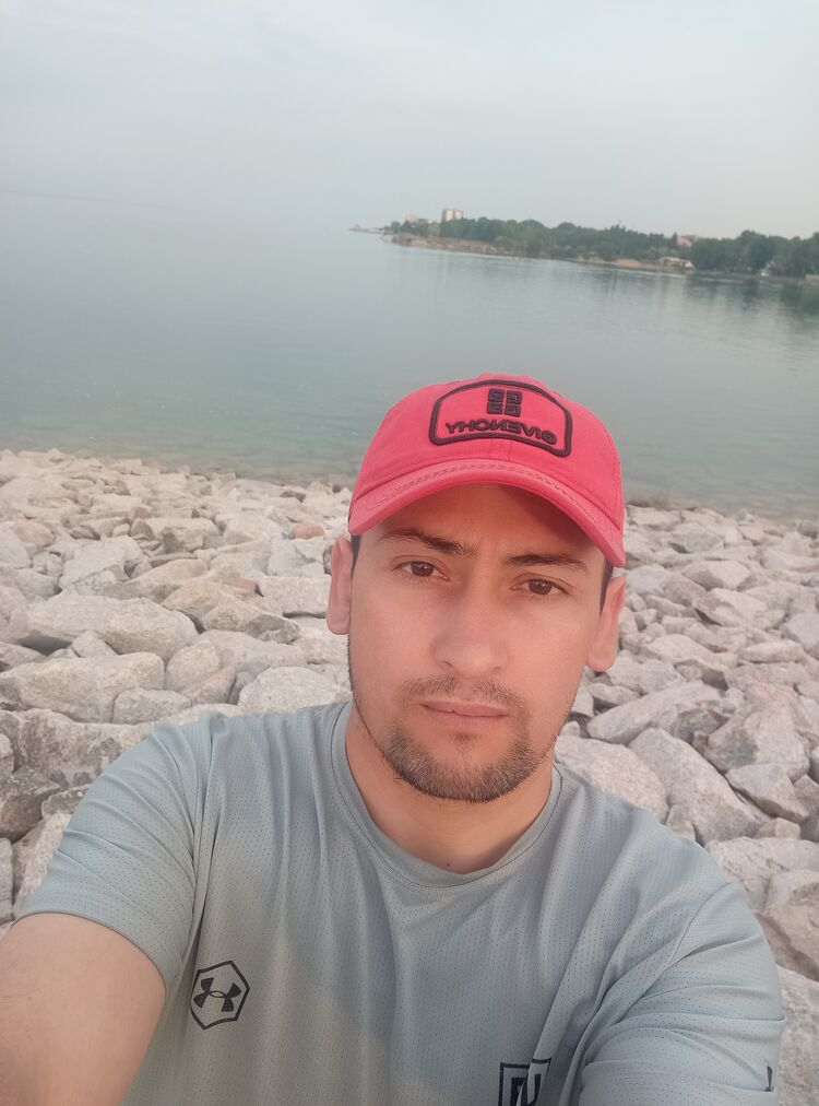  50314632   , 36 ,    