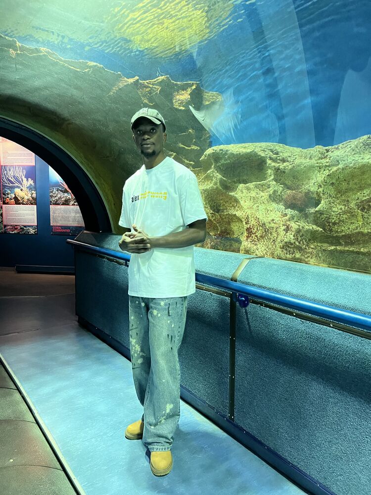  53988002  , 30 ,    -