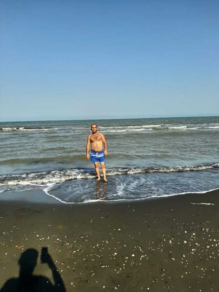  28649262  , 31 ,    