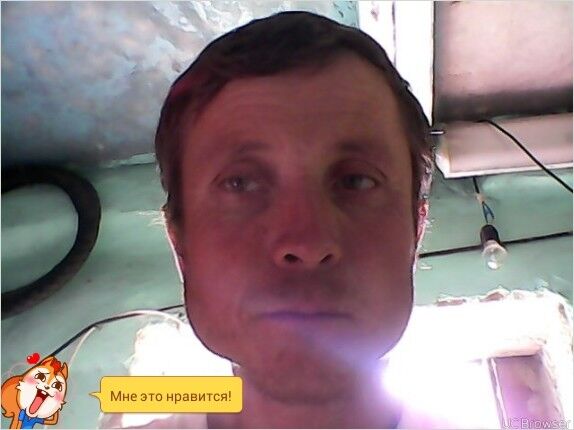  6184272  , 44 ,    
