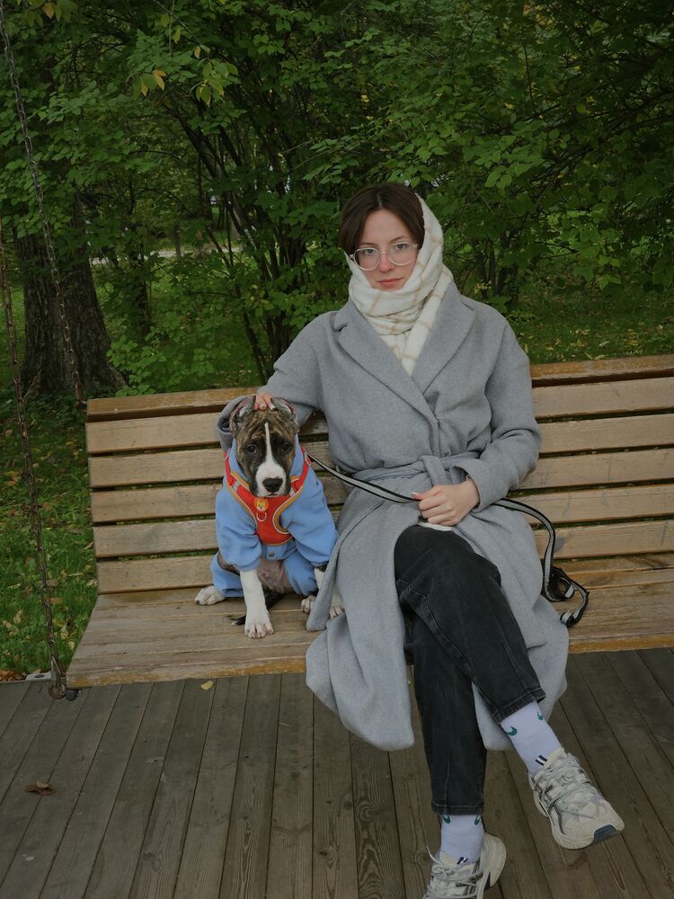 ���� 55383022 ������� ����, 22 ����, ���� ���������� � ���������