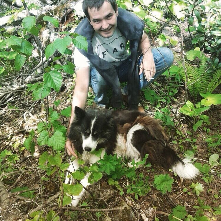 ���� 22523612 ������� �������, 36 ���, ���� ���������� � ���������